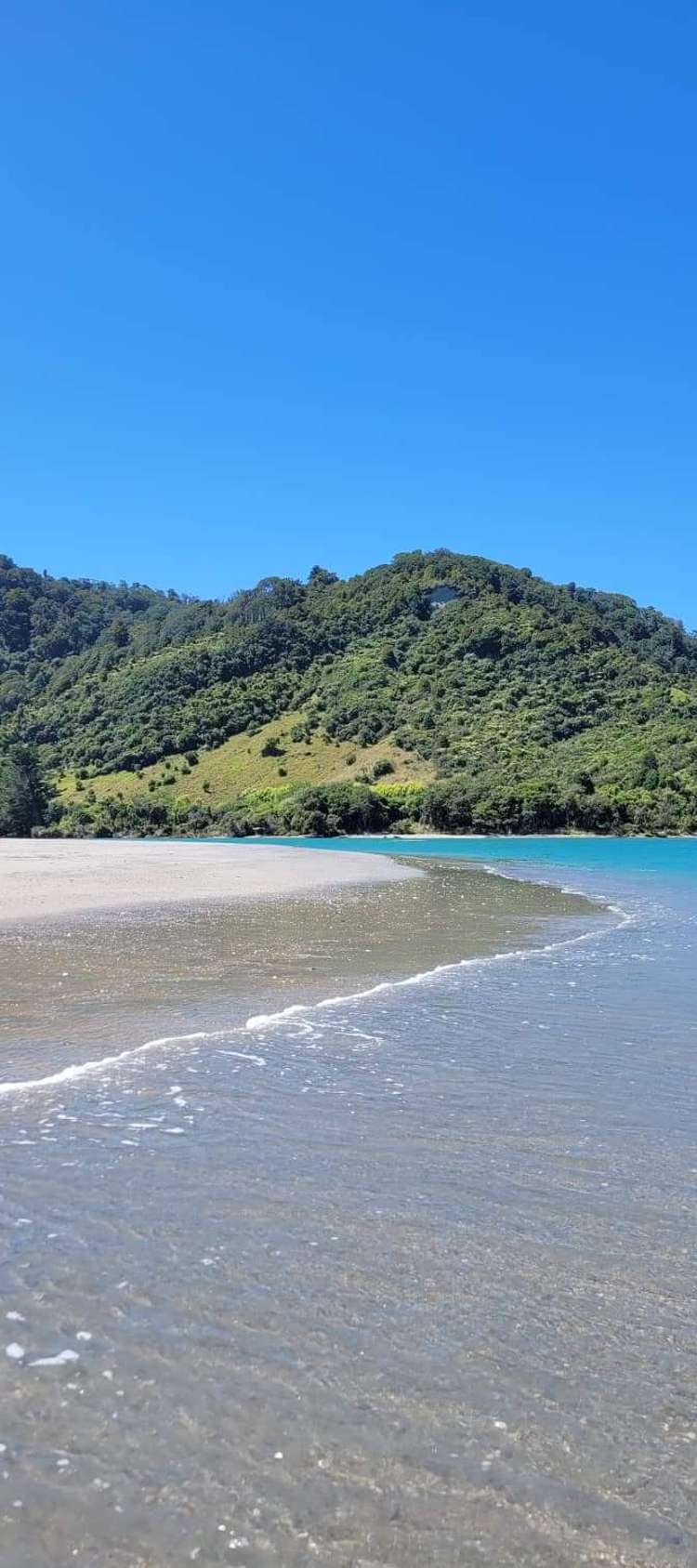 4 Nikau Heights, Little Wanganui Karamea_10