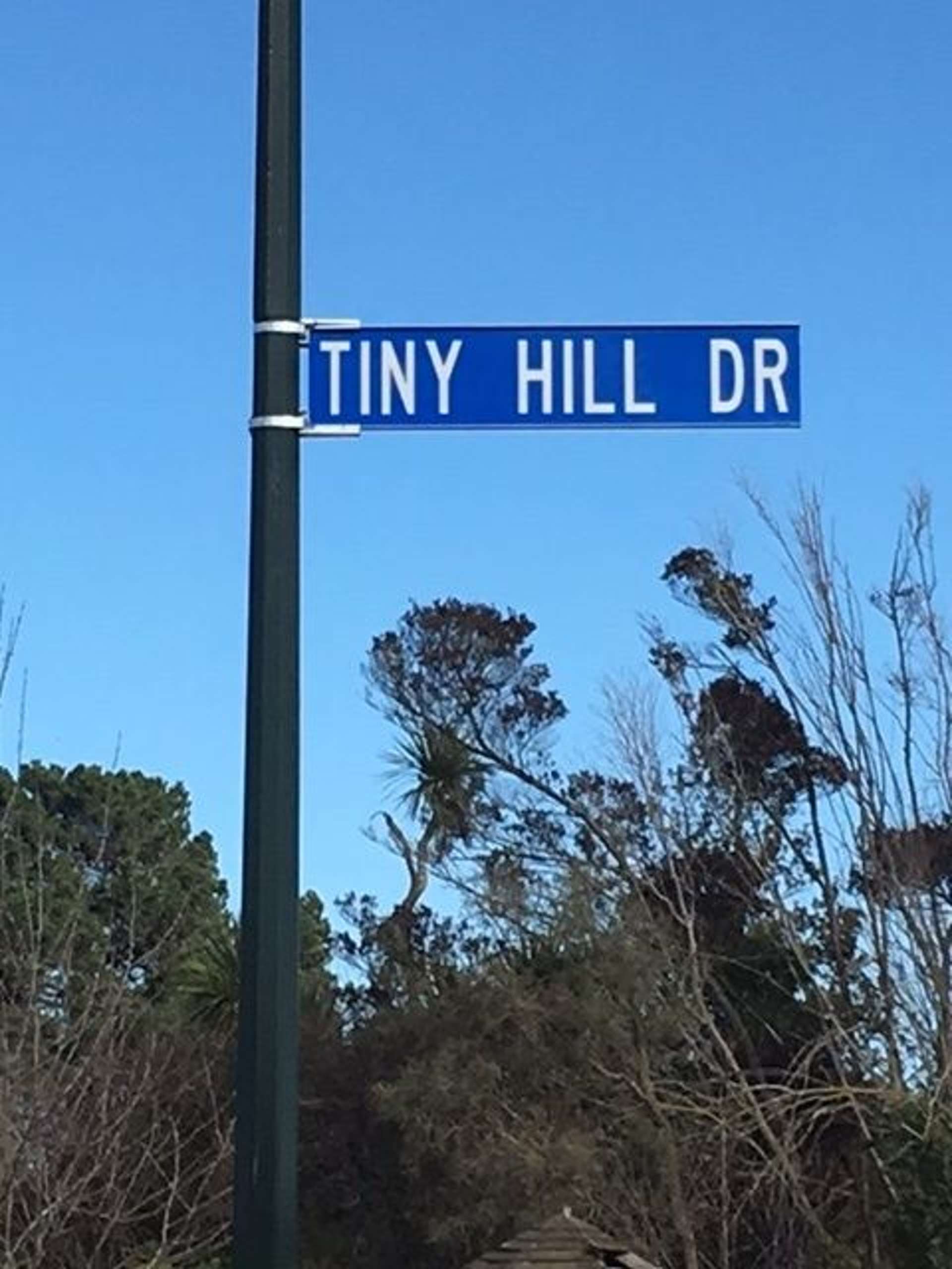 51 Tiny Hill Drive Rolleston_0