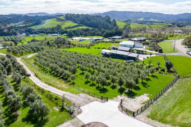 Lot 1/3 Bagnal Road Mangawhai_4