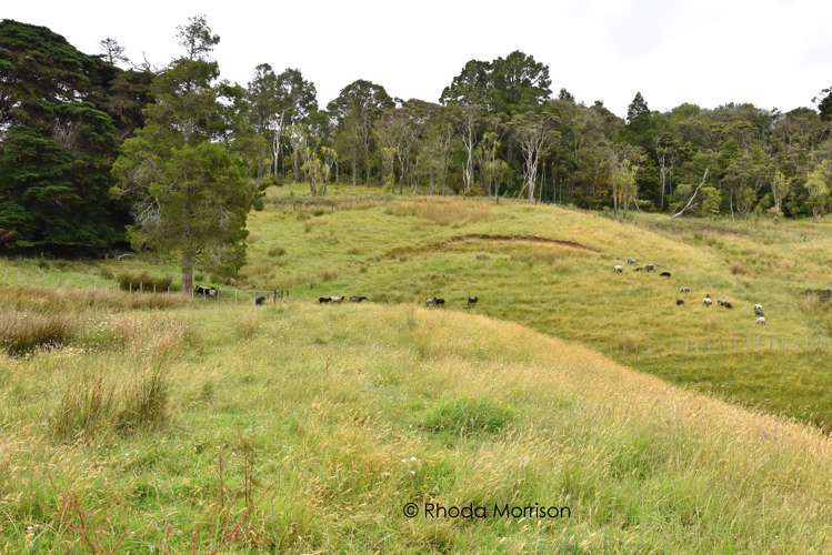 10 Te Pahi River Drive Paparoa_34