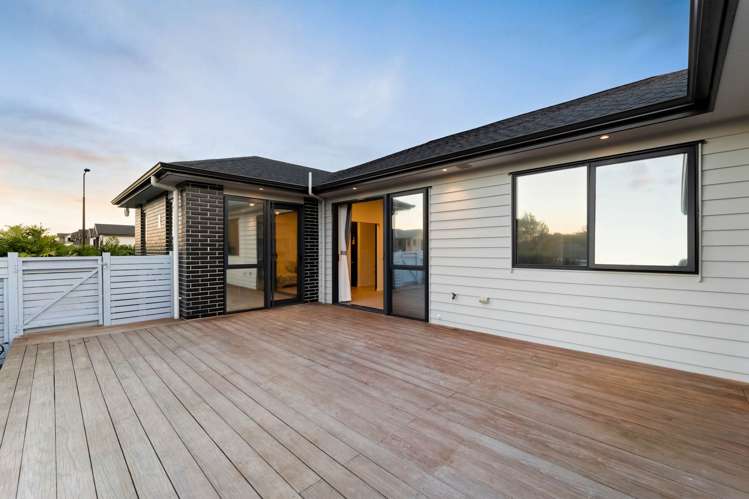 22 Kauri Gum Rise_4