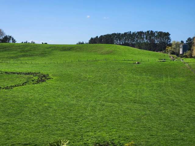 579 Hetherington Road Rotongaro_4