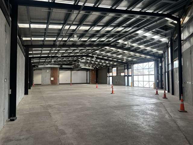 56 Parry Street City Centre Dunedin_4