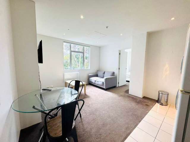305/10 Ronayne Street Parnell_2