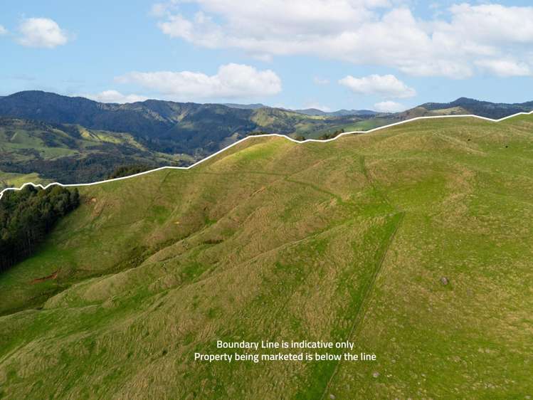 7200B State Highway 26 Paeroa_4