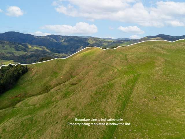 7200B State Highway 26 Paeroa_4