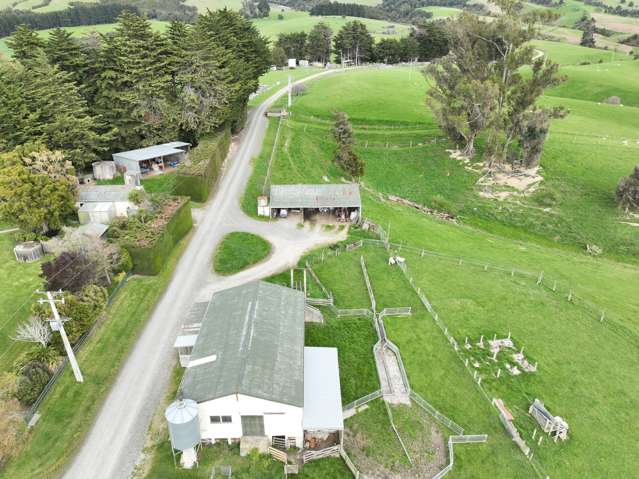 63 Sandford Road Catlins Surrounds_4