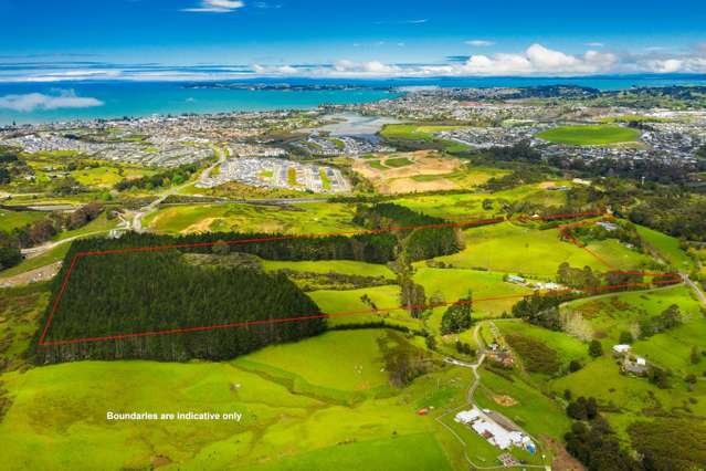 55 Russell Road Wainui_3