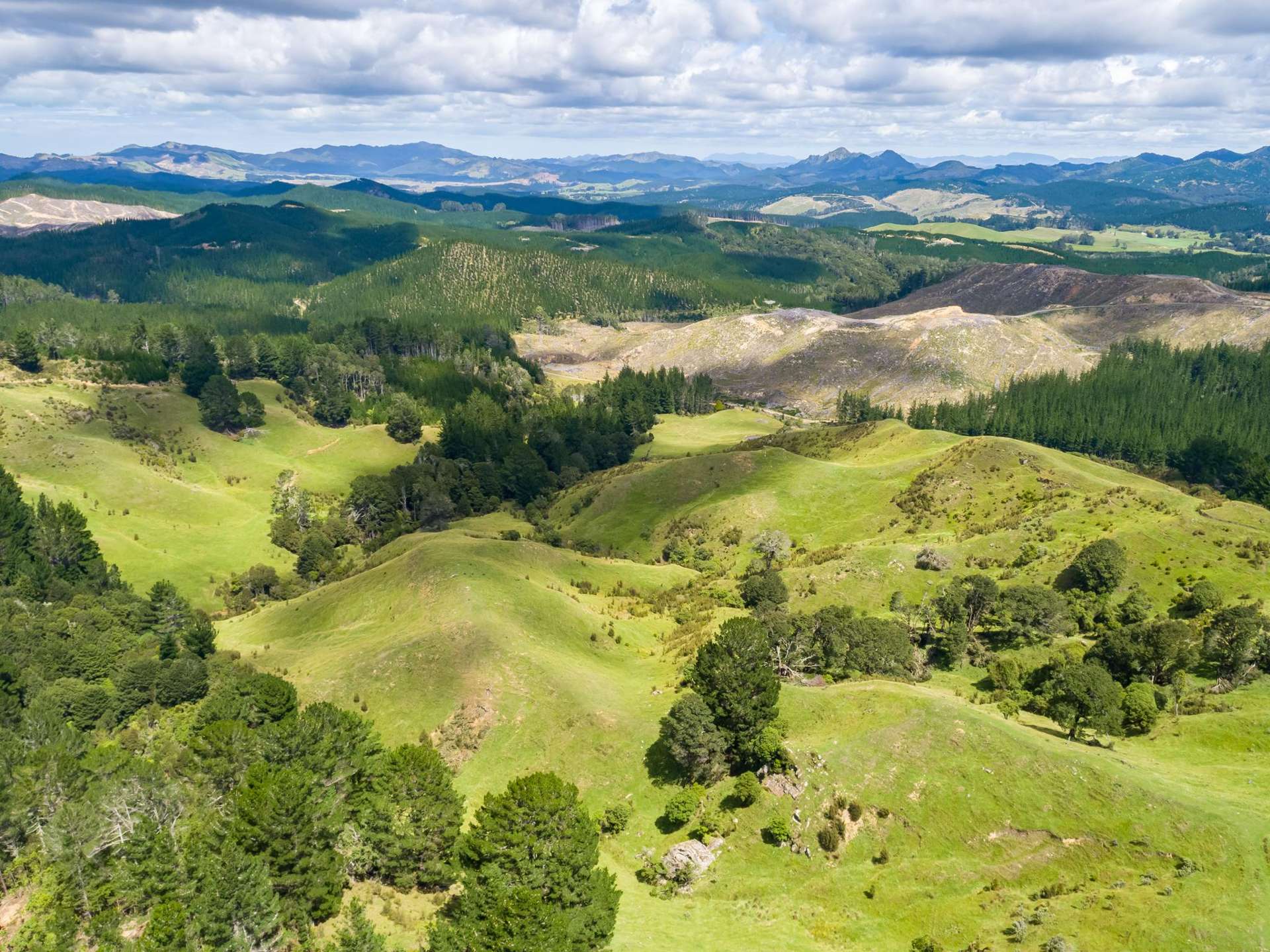 939 Kaiwhata Road Te Wharau_0