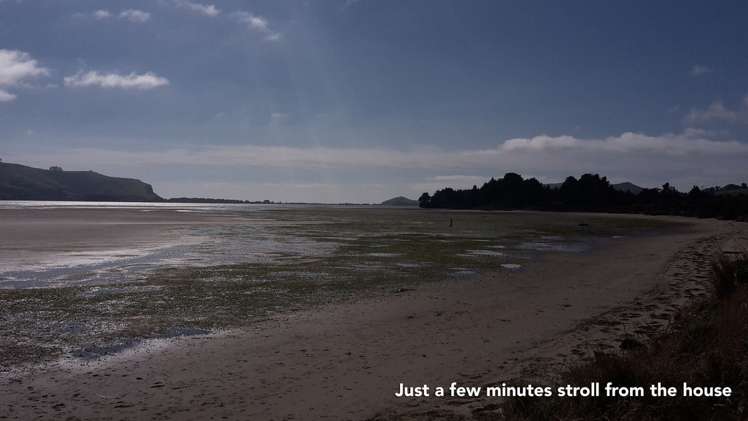 56 Harwood Street Harwood_17