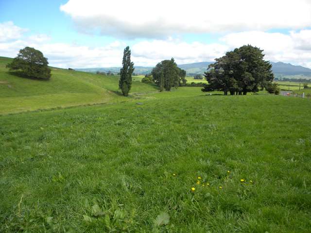 Lot 1 Pokuru Road Te Awamutu_2