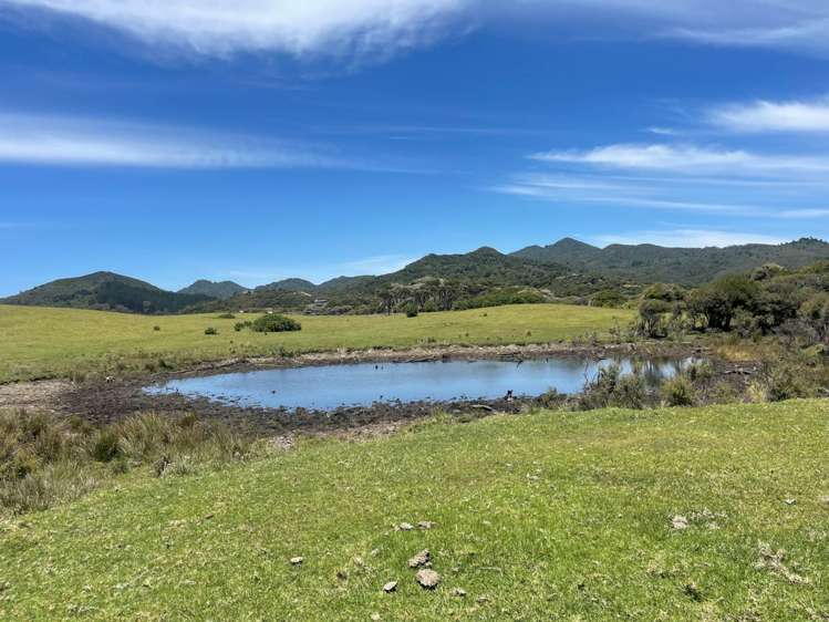 Lot 32 Kaitoke Lane Great Barrier Island_6