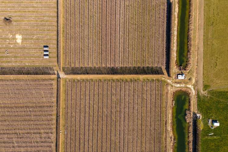 5221 Kurow Duntroon Road Duntroon_17