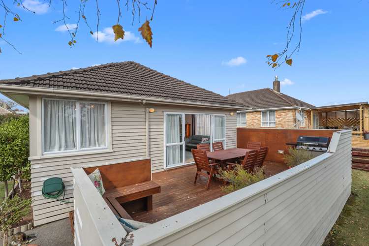 21 Goodwin Avenue Morrinsville_11