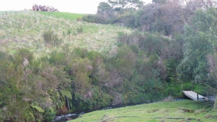 20 Tariki Road South Tariki_4