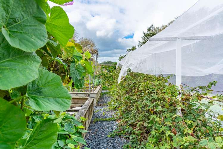 2239B State Highway 12 Paparoa_30