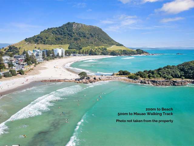 2/49 Maunganui Road Mount Maunganui_3