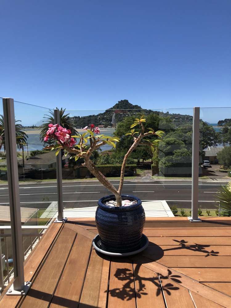 169 Main Road Tairua_42