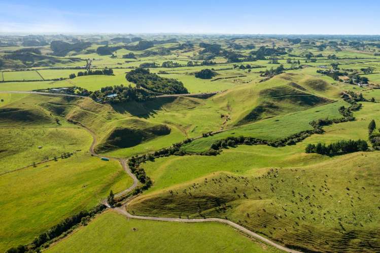 860 Egmont Road Hillsborough_23