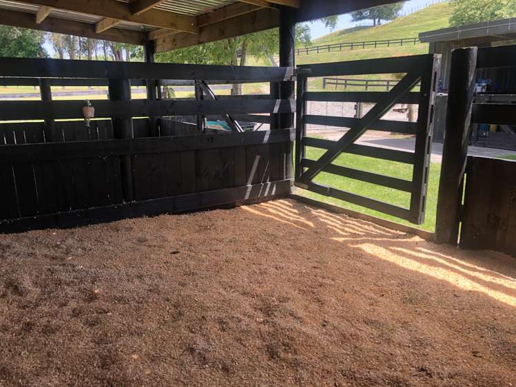 57 Pukerimu Lane Cambridge_9