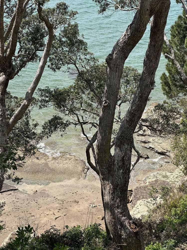 17 Swann Beach Road Stanmore Bay_11