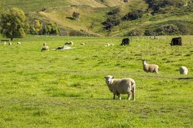 3503 Porangahau Road_4