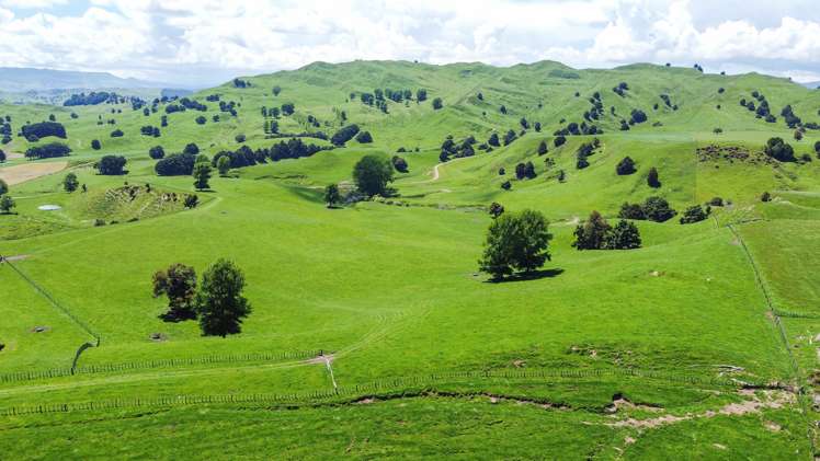 331 Burnand Road Manunui_5