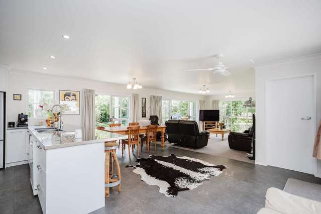 14 Aerodrome Road Dannevirke_3