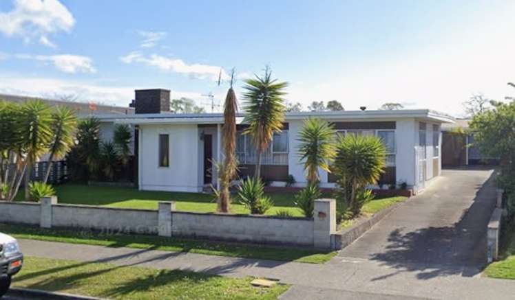 28 Freyberg Avenue Tamatea_0