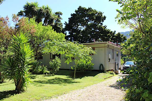 50 Totara Avenue Collingwood_3