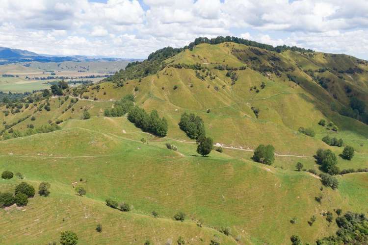 131 Rangitane Road Mangaweka_8