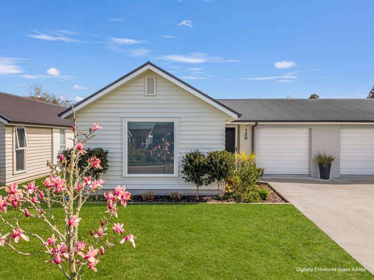 120/80B Burwood Road Matamata_13