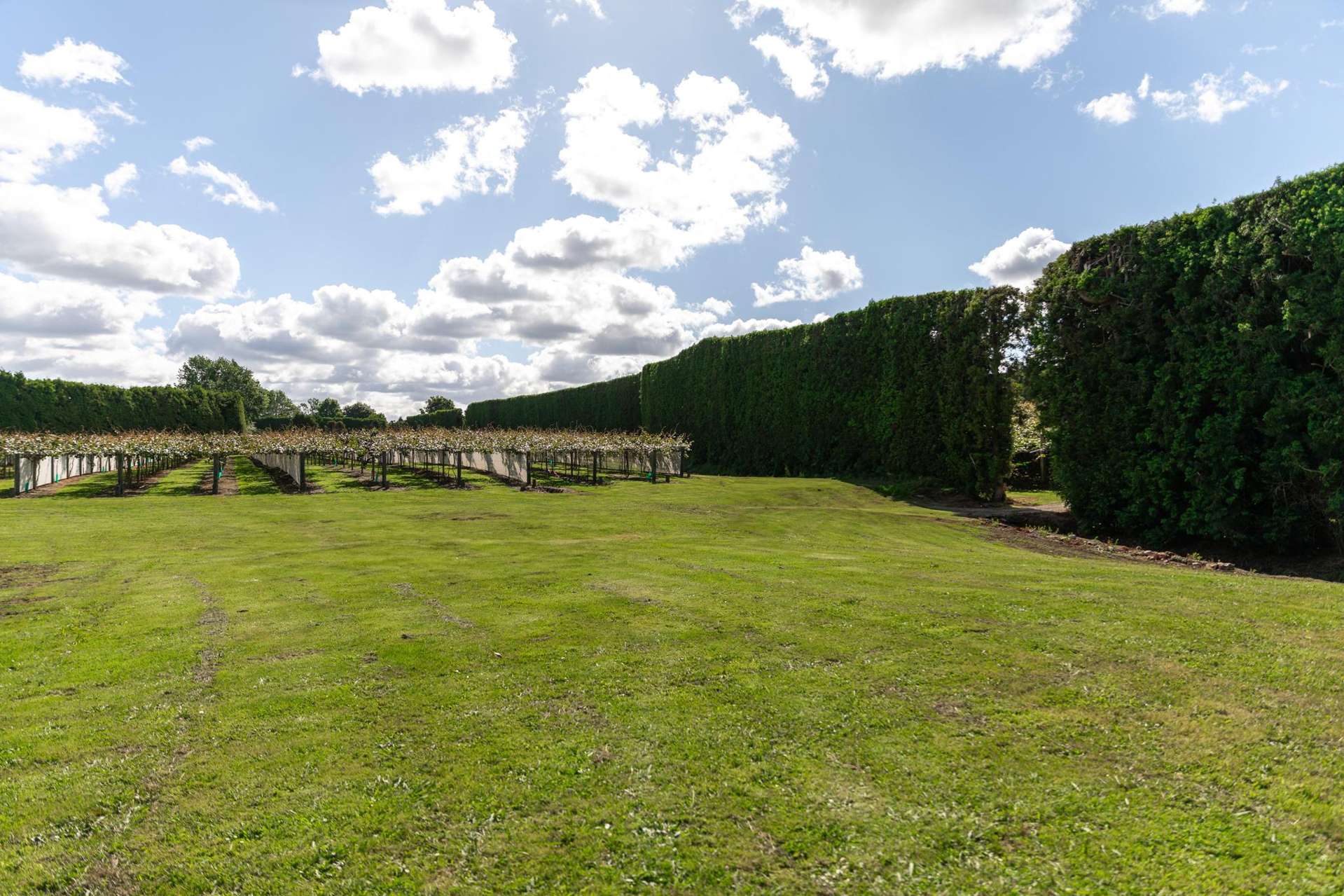 72 Waihi Beach Road Waihi_0