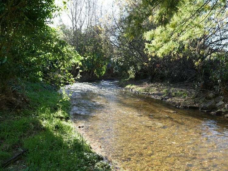 234 Rosedale Road Upper Moutere_34