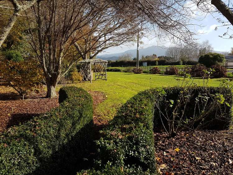 2 Penny Road Pirongia_4