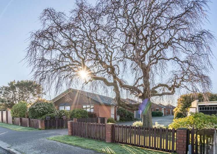 41 Mary Street Richmond_2