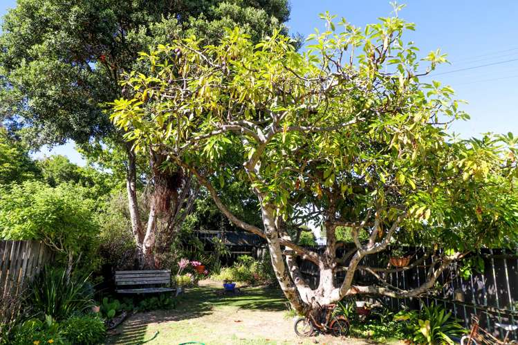 112 Baillie Street Thames_22