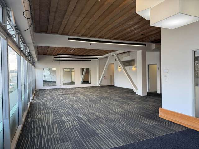 17 Maidstone Street Grey Lynn_4