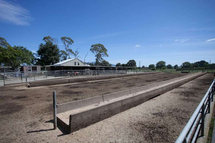 267 Frontier Road Te Awamutu_13