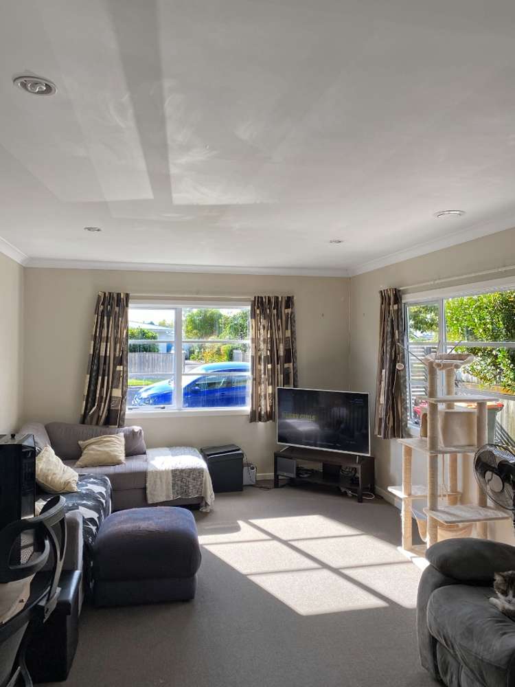 50a Rata Street Roslyn_2