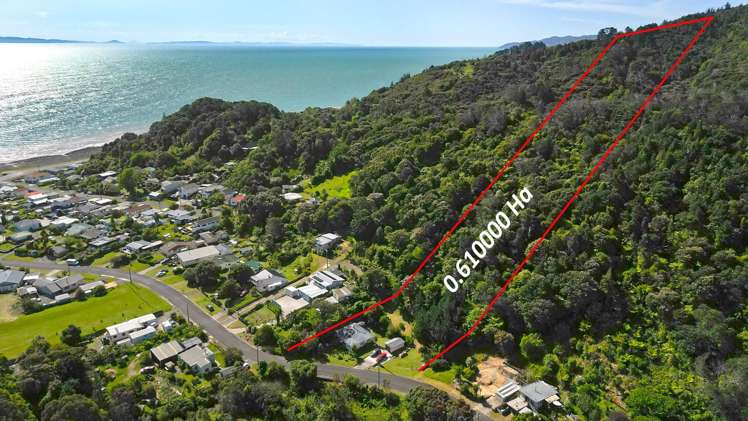 47 Waiomu Valley Road Waiomu_16