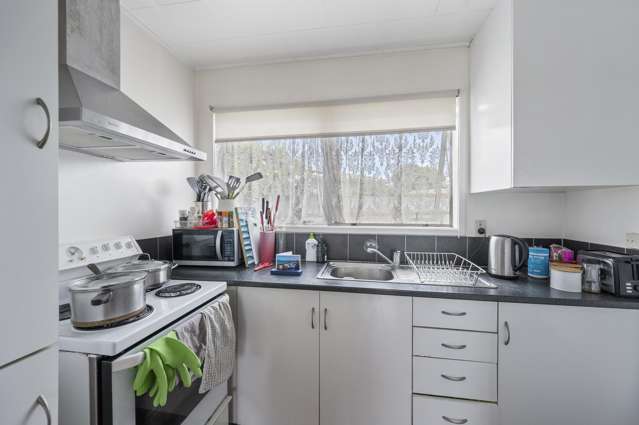 3 London Place Tamatea_2