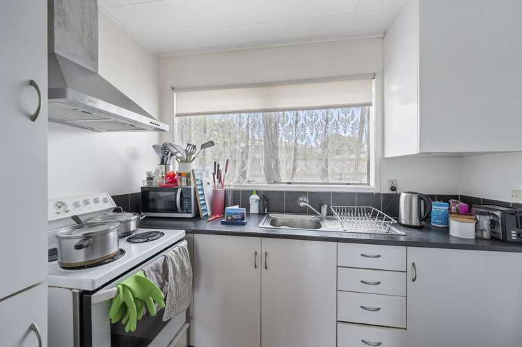 3 London Place Tamatea_2