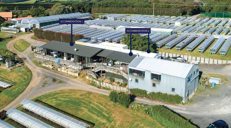 107 Ongare Point Road Katikati_15