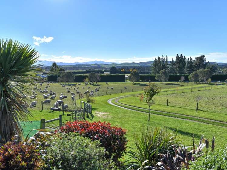 31 Hawarden Waikari Road Waikari_6