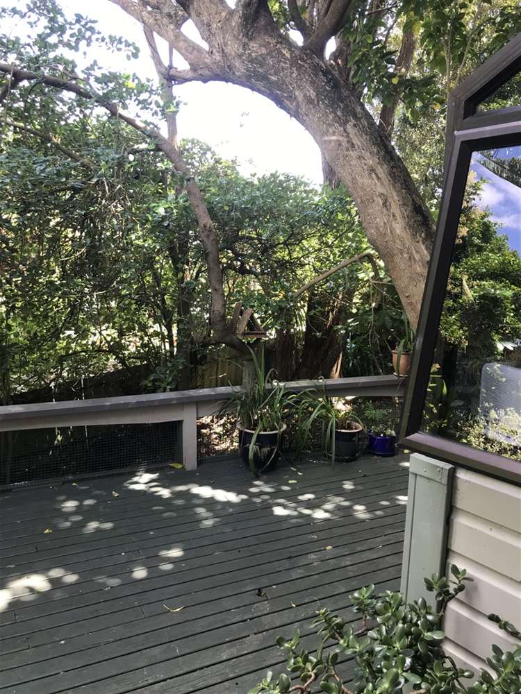 40 Mcinnes Road Manurewa_6