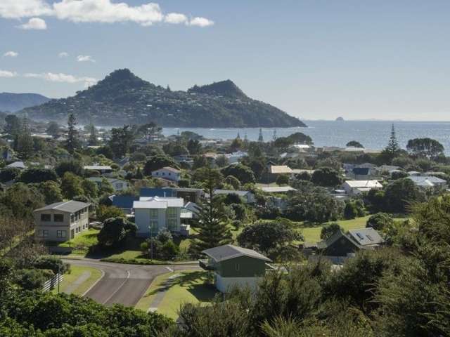 21 Mount Avenue Pauanui_1