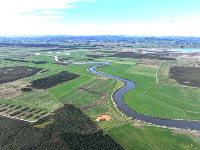 Dairy Support With Carbon Investment Opportunity