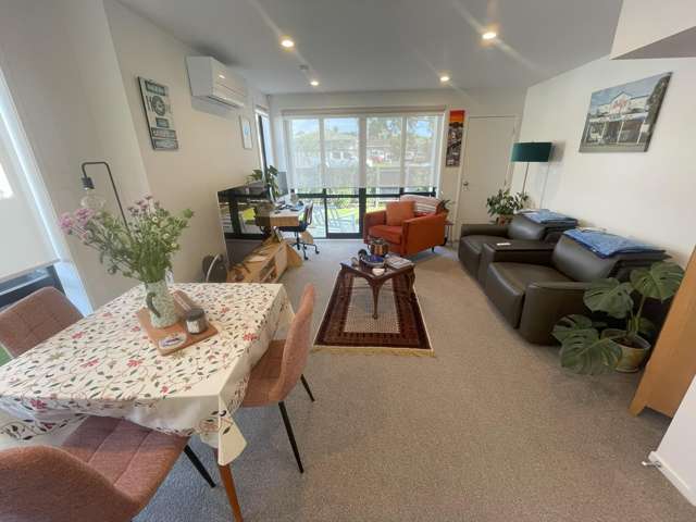 1/28 Riverview Road Panmure_1