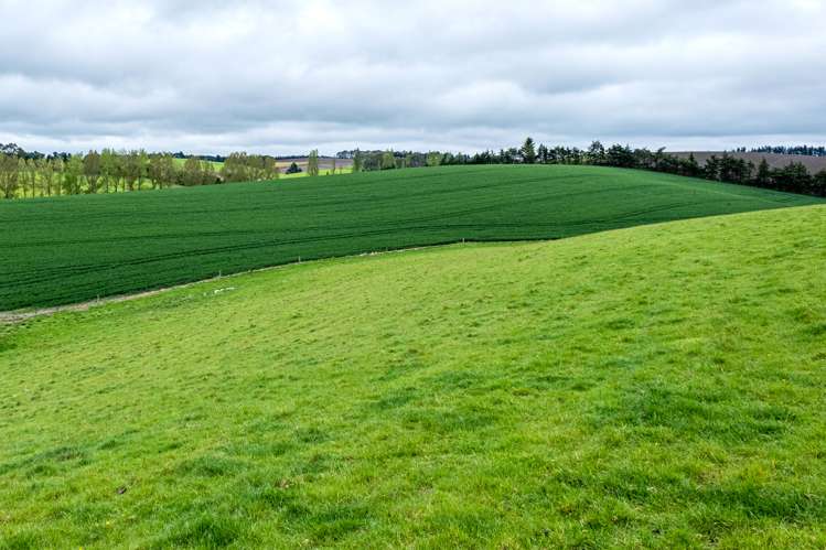 38 Doake Road Pleasant Point_18